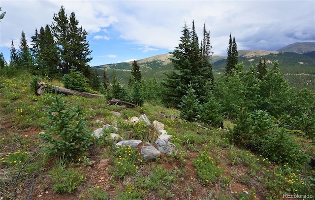 1275 Roberts Rd, Alma, CO 80420 - photo 7