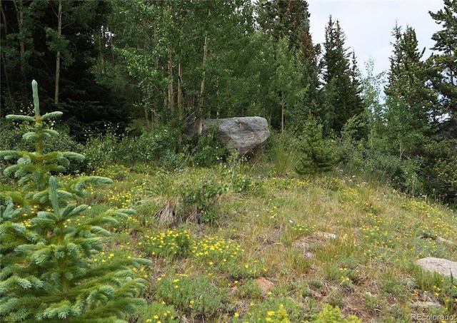 1275 Roberts Rd, Alma, CO 80420 - photo 8