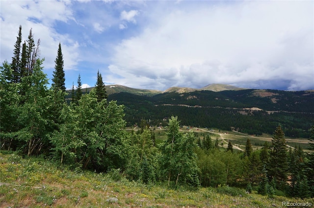1275 Roberts Rd, Alma, CO 80420 - photo 9