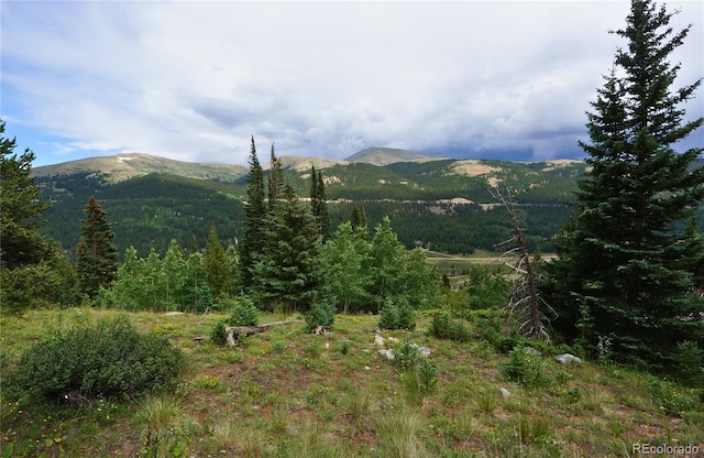 1275 Roberts Rd, Alma, CO 80420 - photo 10
