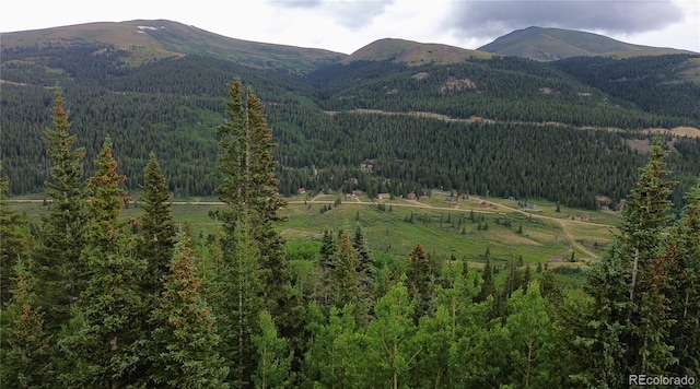 1275 Roberts Rd, Alma, CO 80420 - photo 11