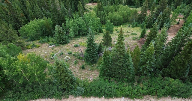 1275 Roberts Rd, Alma, CO 80420 - photo 13
