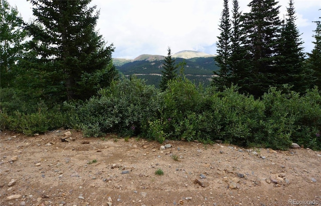 1275 Roberts Rd, Alma, CO 80420 - photo 14