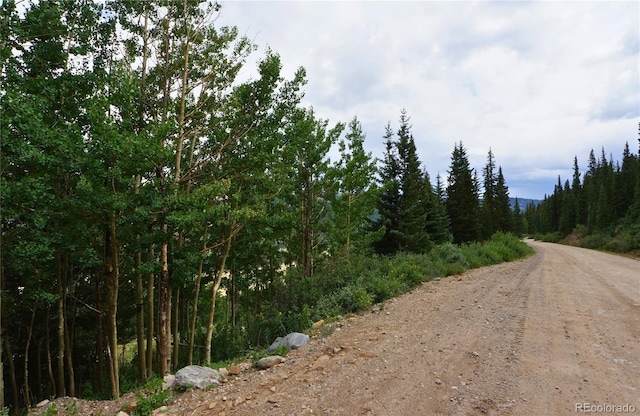 1275 Roberts Rd, Alma, CO 80420 - photo 16