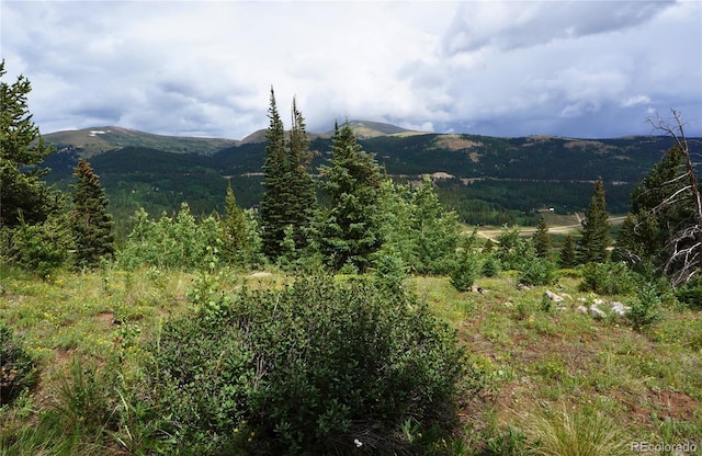 1275 Roberts Rd, Alma, CO 80420 - photo 17
