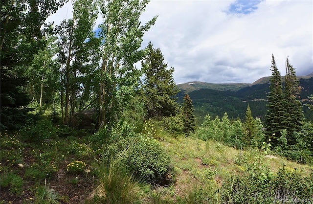 1275 Roberts Rd, Alma, CO 80420 - photo 18
