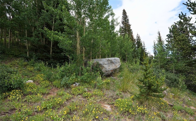 1275 Roberts Rd, Alma, CO 80420 - photo 19
