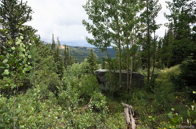 1275 Roberts Rd, Alma, CO 80420 - photo 20