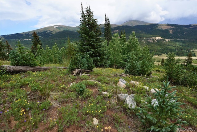 1275 Roberts Rd, Alma, CO 80420 - photo 21