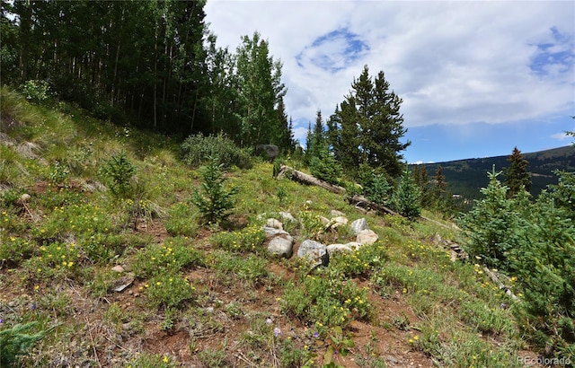 1275 Roberts Rd, Alma, CO 80420 - photo 22