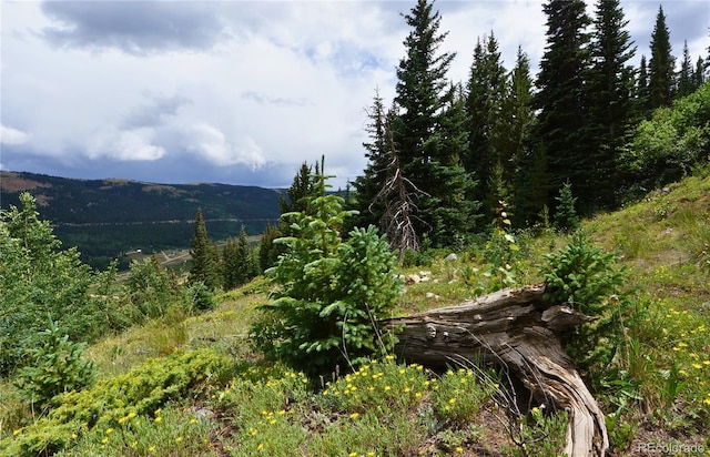 1275 Roberts Rd, Alma, CO 80420 - photo 23