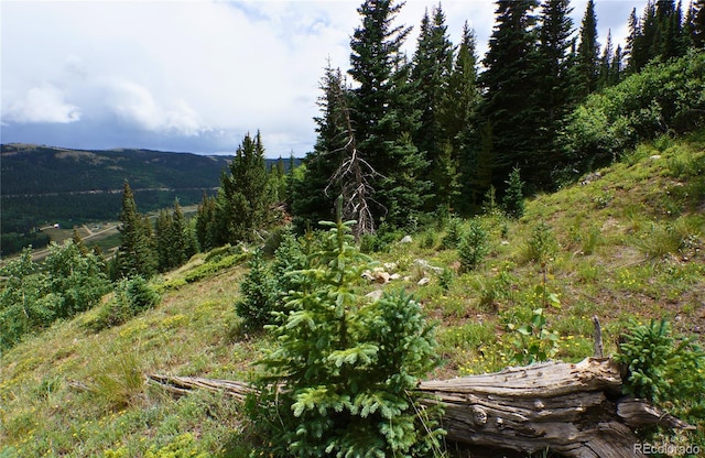 1275 Roberts Rd, Alma, CO 80420 - photo 24