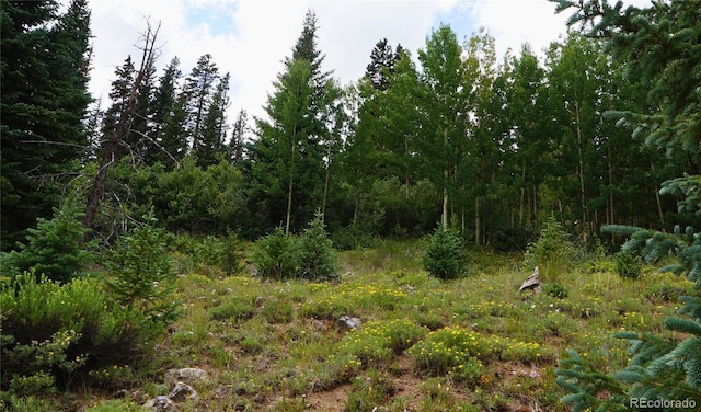 1275 Roberts Rd, Alma, CO 80420 - photo 25