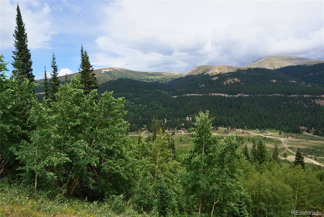 1275 Roberts Rd, Alma, CO 80420 - photo 26