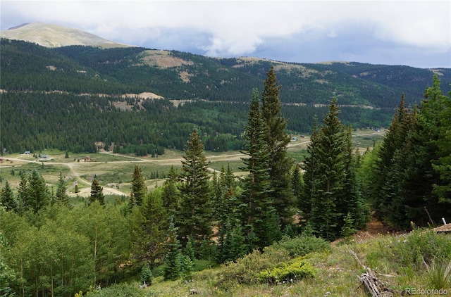 1275 Roberts Rd, Alma, CO 80420 - photo 27