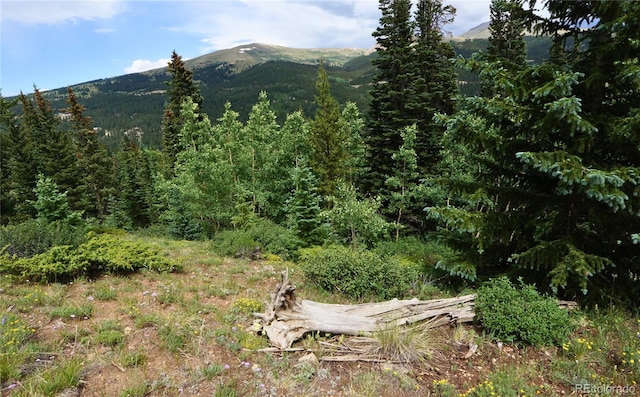 1275 Roberts Rd, Alma, CO 80420 - photo 28
