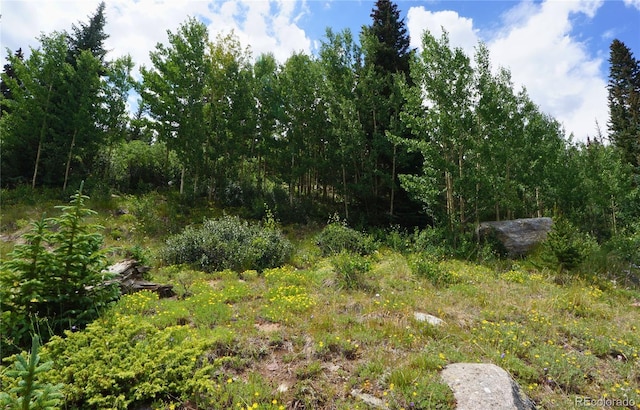 1275 Roberts Rd, Alma, CO 80420 - photo 29