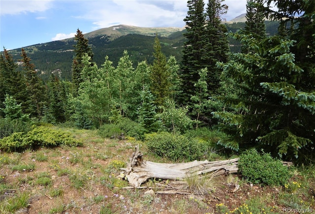 1275 Roberts Rd, Alma, CO 80420 - photo 30