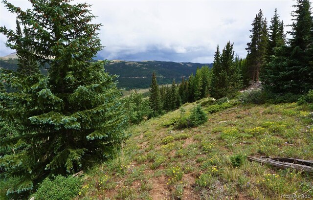 1275 Roberts Rd, Alma, CO 80420 - photo 31
