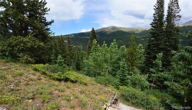 1275 Roberts Rd, Alma, CO 80420 - photo 32