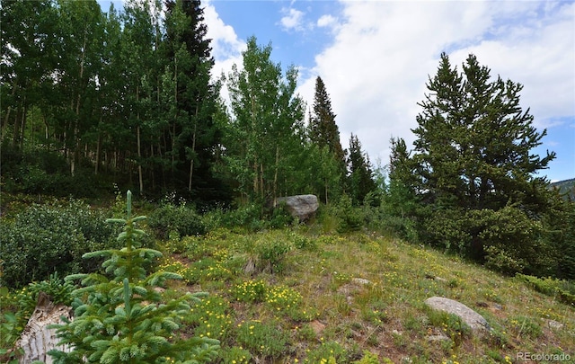 1275 Roberts Rd, Alma, CO 80420 - photo 34