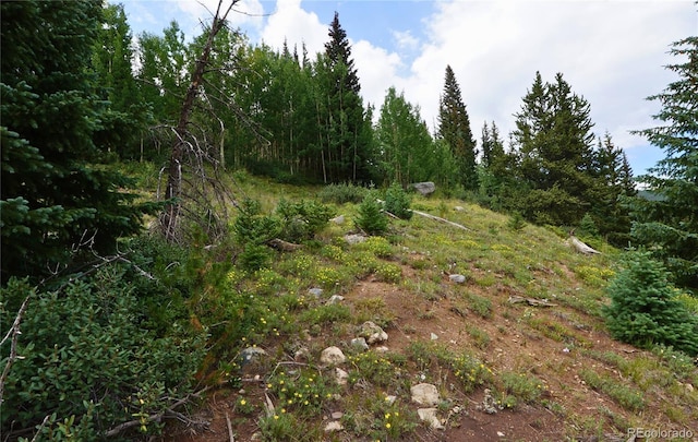 1275 Roberts Rd, Alma, CO 80420 - photo 35