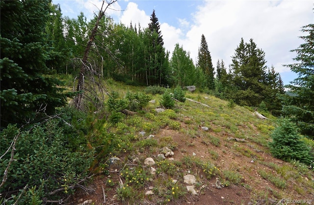 1275 Roberts Rd, Alma, CO 80420 - photo 36