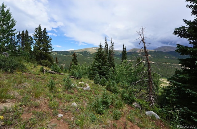1275 Roberts Rd, Alma, CO 80420 - photo 37