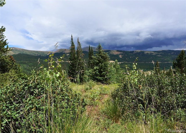 1275 Roberts Rd, Alma, CO 80420 - photo 38
