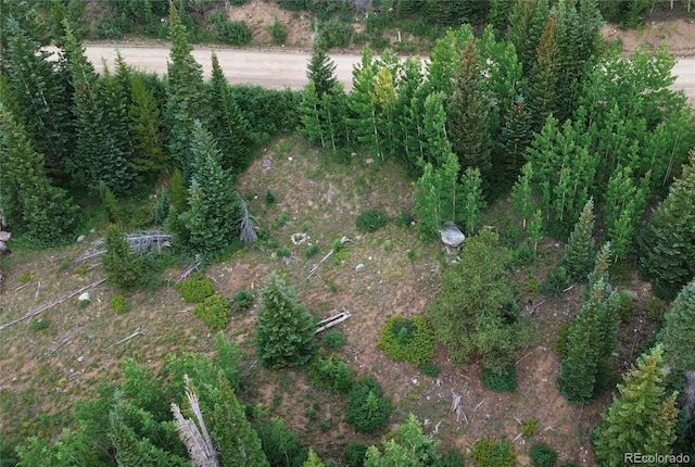 1275 Roberts Rd, Alma, CO 80420 - photo 40