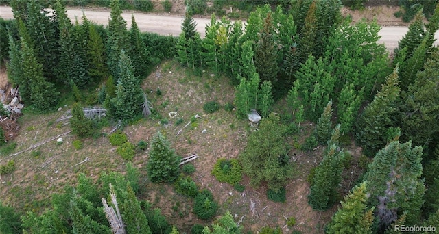 1275 Roberts Rd, Alma, CO 80420 - photo 41