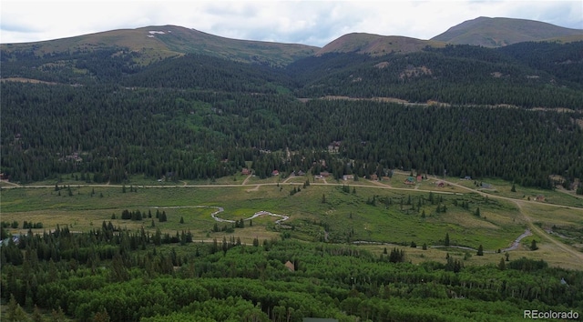 1275 Roberts Rd, Alma, CO 80420 - photo 42