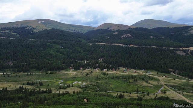1275 Roberts Rd, Alma, CO 80420 - photo 43
