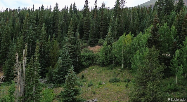 1275 Roberts Rd, Alma, CO 80420 - photo 44