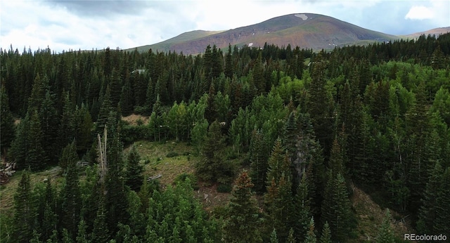 1275 Roberts Rd, Alma, CO 80420 - photo 45