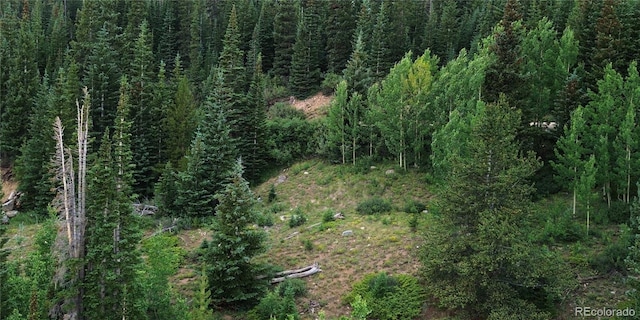 1275 Roberts Rd, Alma, CO 80420 - photo 46