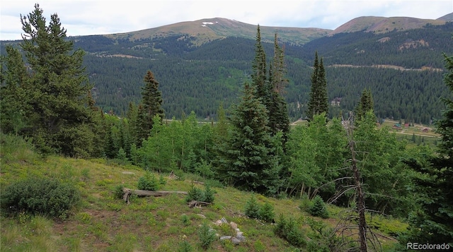 1275 Roberts Rd, Alma, CO 80420 - photo 47