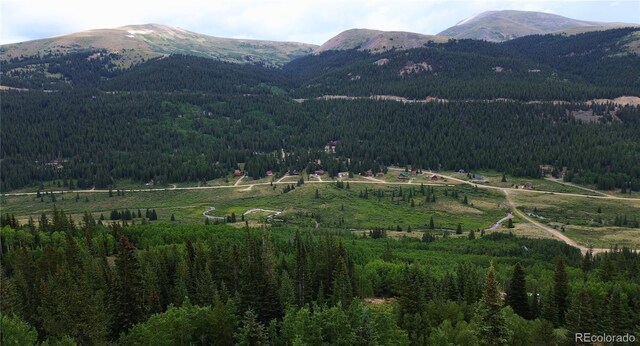 1275 Roberts Rd, Alma, CO 80420 - photo 48