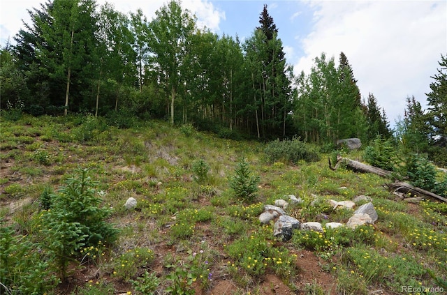 1275 Roberts Rd, Alma, CO 80420 - photo 49