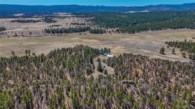 24030 County Road 43.6, Aguilar, CO 81020 - photo 12