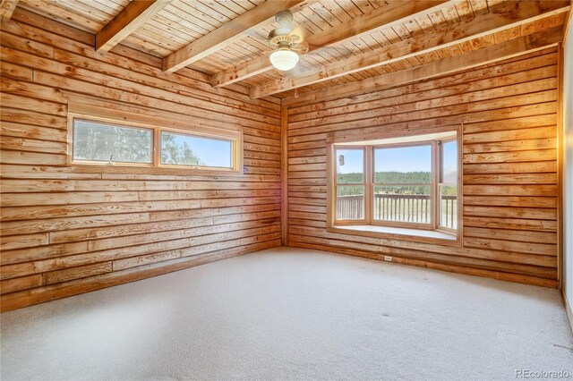 24030 County Road 43.6, Aguilar, CO 81020 - photo 23