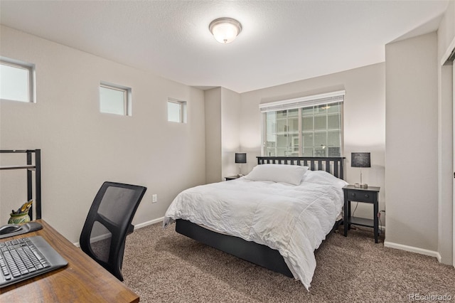 18112 E 104th Way, Commerce City, CO 80022 - bedroom with carpet flooring and baseboards
