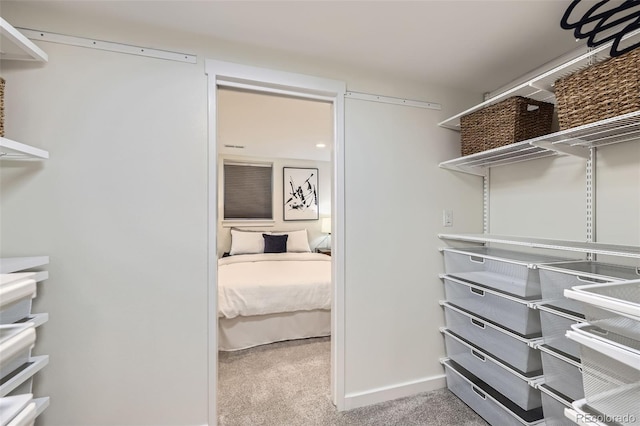 4441 N Meade St, Denver, CO 80211 - spacious closet with carpet flooring