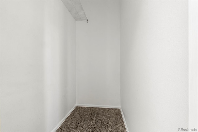 spacious closet featuring carpet