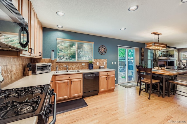 5258 Lost Meadow Trl, Castle Rock, CO 80104 - photo 9