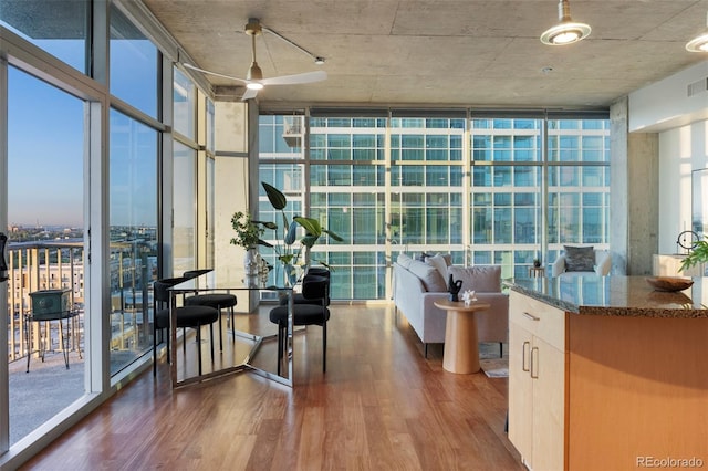 interior space with a wealth of natural light and ceiling fan