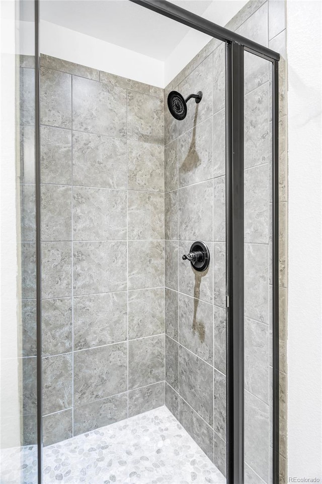 bathroom featuring a shower with shower door