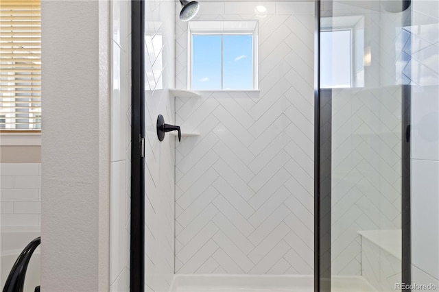 13729 Vallejo Loop, Broomfield, CO 80023 - bathroom with a shower stall