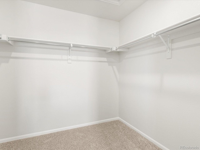 2717 73rd Avenue Ct, Greeley, CO 80634 - walk in closet featuring carpet floors