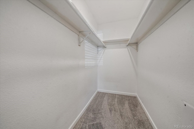 spacious closet with carpet floors